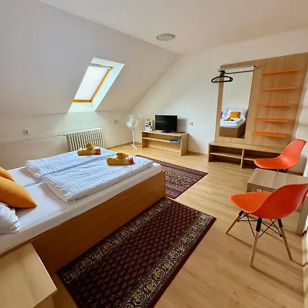 Guest house Ludor