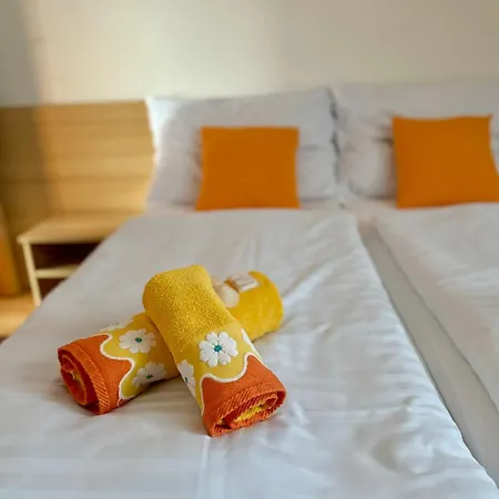 Ludor Guest house *