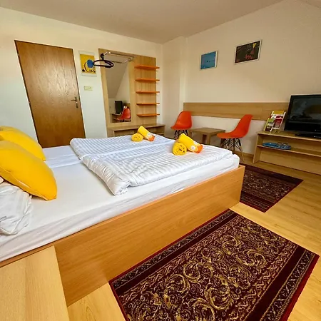 Ludor Guest house *