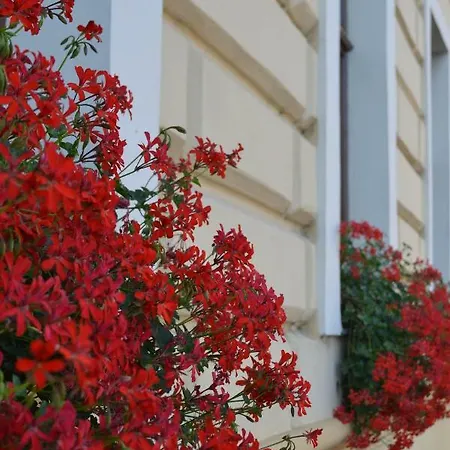 Ludor Guest house Straznice