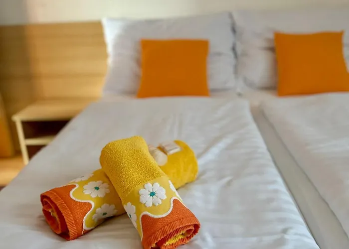 Ludor Guest house 3*