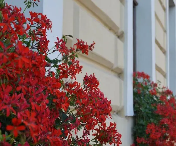 Ludor Guest house Straznice